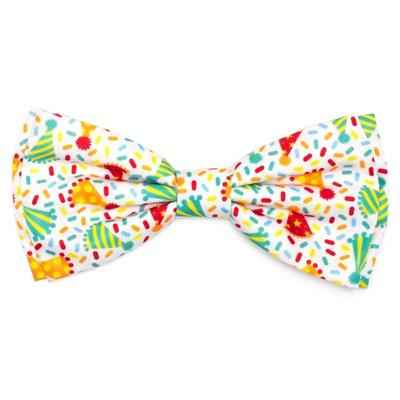 Celebrate Dog Collar and Lead Collection for Stylish Pet Walks