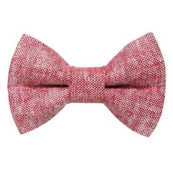 The Team Leader Pet Bow Tie for Cats and Dogs