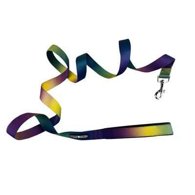 American River Ombre Leash - Aruba Blue for Stylish Dog Walks