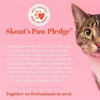 Probiotic Ear Cleaner for Cats Keeps Them Happy