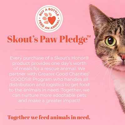 Honeysuckle Probiotic Cat Shampoo