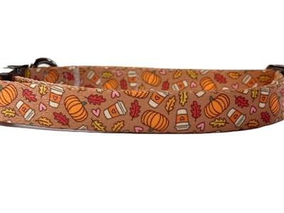 Pumpkin Spice | Recycled Bottle Eco-Friendly Dog Collar & Leash