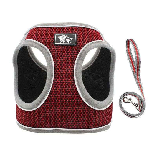 Cozycat Comfortfit Cat Walking Leash and Harness for Adventurous Cats