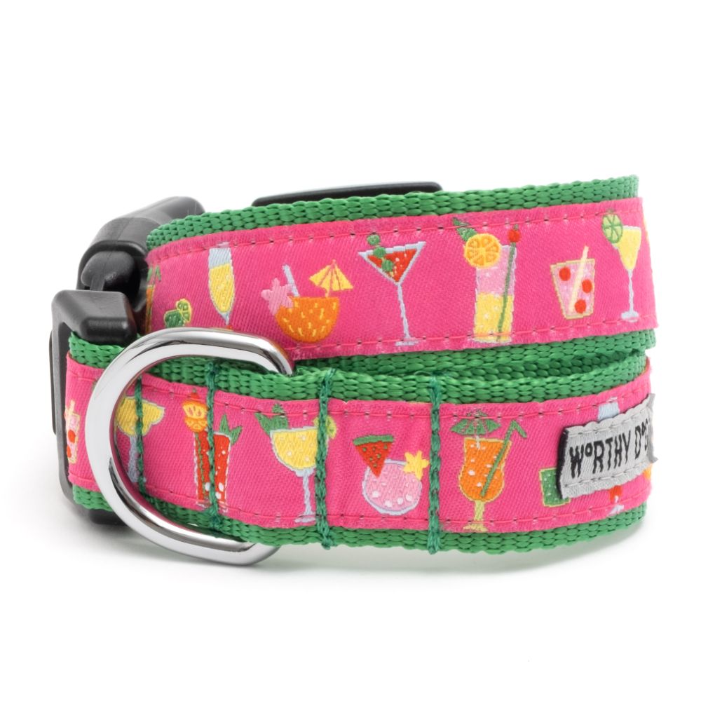 Summer Cheer Pet Collar