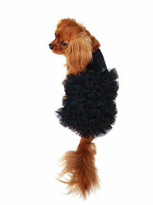 Red Carpet Ruffle Dress, Black