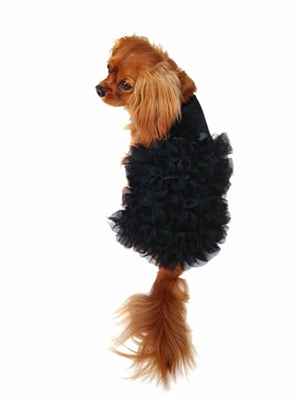 Red Carpet Ruffle Dress Black - Elegant Evening Gown