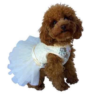 Fufu Tutu Dress Ivory