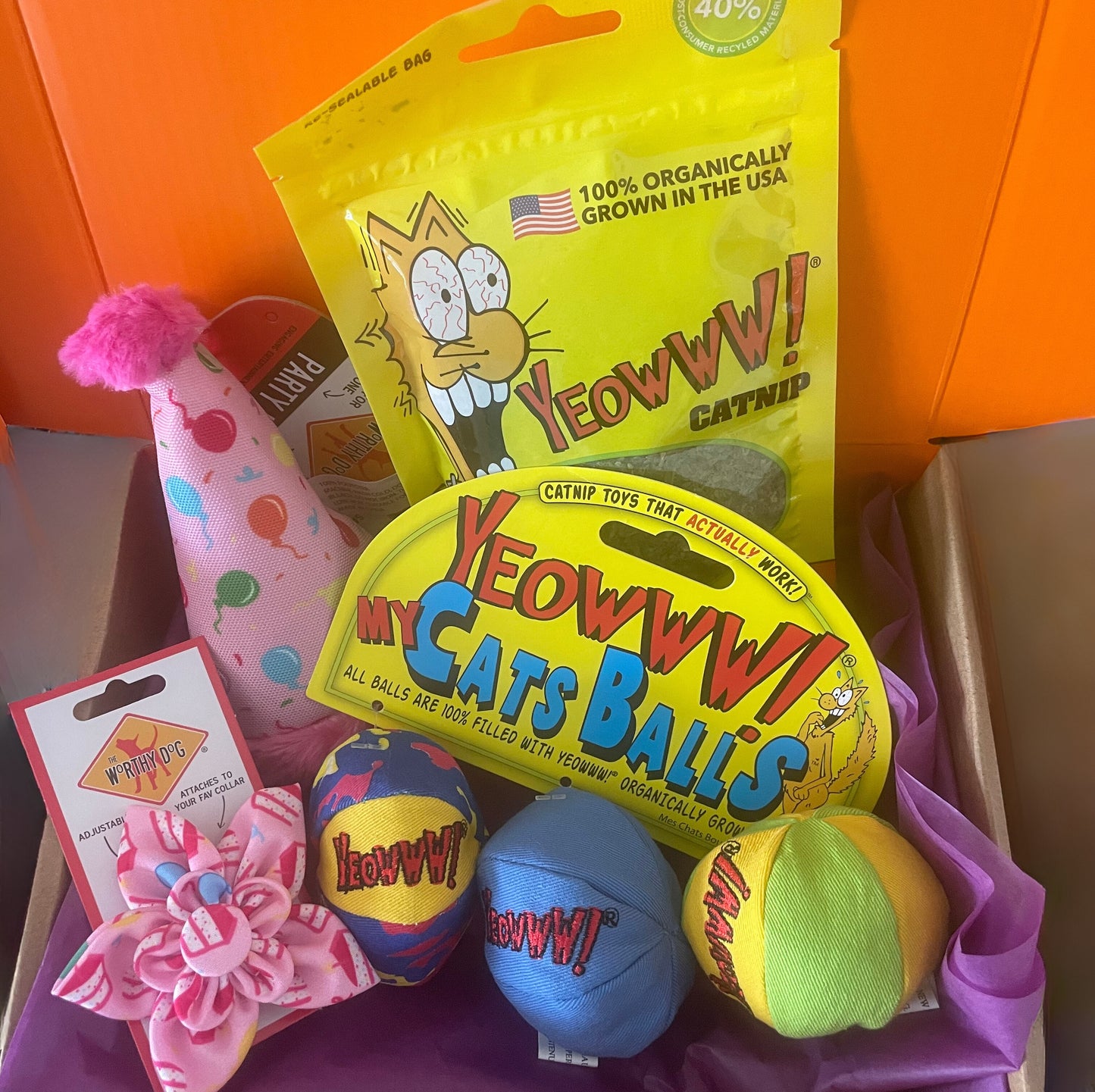 Pawty Box (small) for Cats or Small Dogs