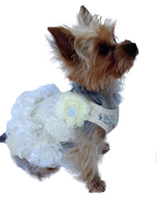 Garden Party Tutu Dress