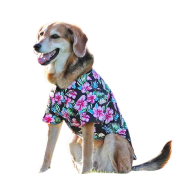Hawaiian Camp Shirt - Paradise Nights