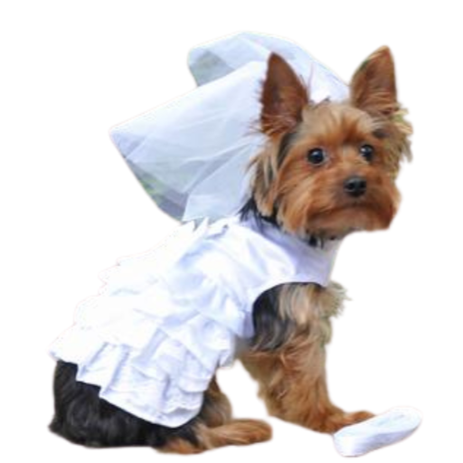 Dog Harness Wedding Dress with Veil and Matching Leash