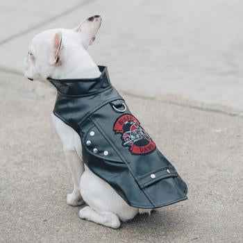 Biker Dawg Motorcycle Dog Jacket - Black Biker Dog Jacket for Stylish Rides
