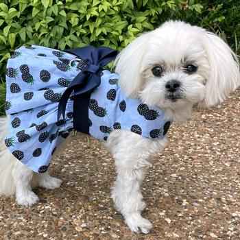 Blackberry Dog Dress with Matching Leash