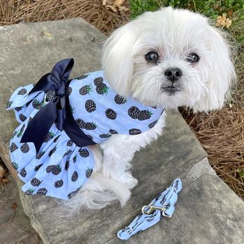 Blackberry Dog Dress with Matching Leash