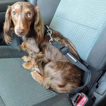 Pet Seat Belt Strap Dog Car Leash - Secure & Comfortable Pet Seat Belt for Dogs