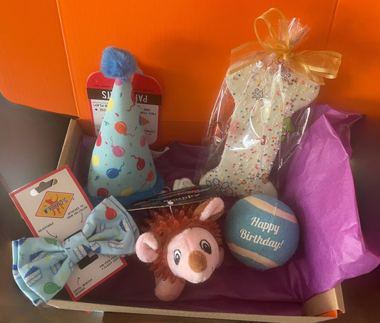 Pawty Box (small) for Cats or Small Dogs