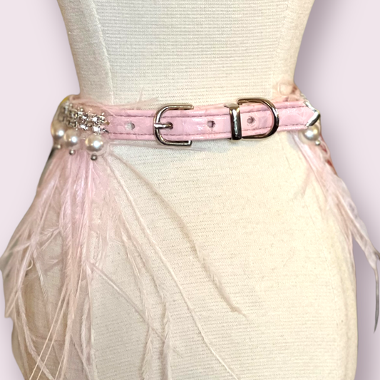 elegant designer pet collar close up