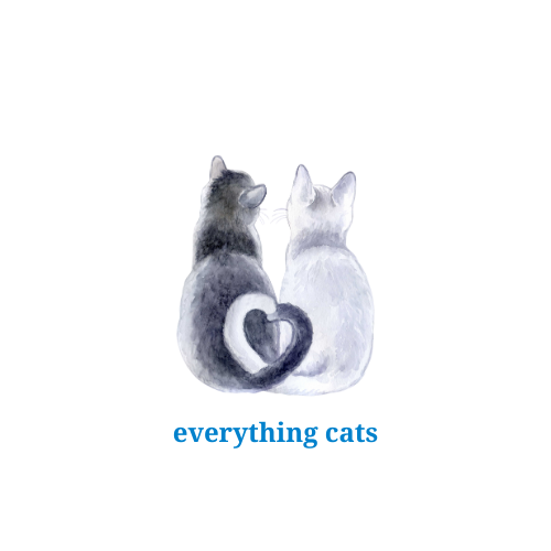 Everything Cats Fluff & Fur: Exciting New Launch of Our Sister Brand! - Fluff & Fur - A Pet Boutique