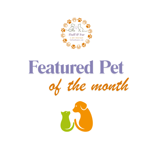 Heart of the Month Spotlight: Discover Our Exciting New Features! - Fluff & Fur - A Pet Boutique