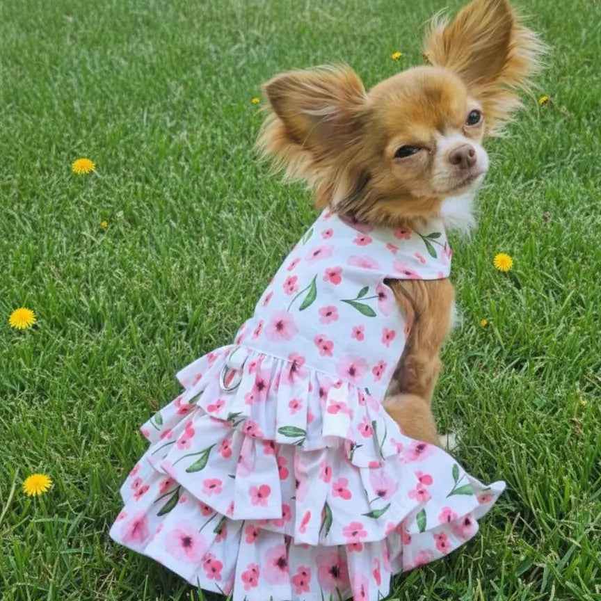 Spring Wildflower Pet Dresses for Stylish Daytime Adventures