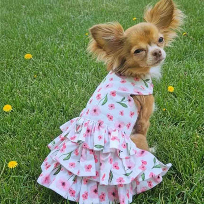 Spring Wildflower Pet Dresses for Stylish Daytime Adventures