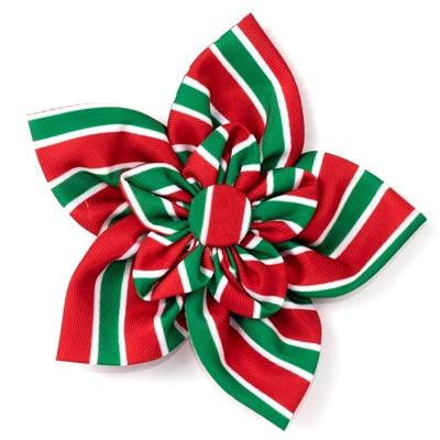 Holiday Stripe Flower for Collar