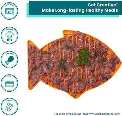 LickiMat for Cats Healthy Feeding