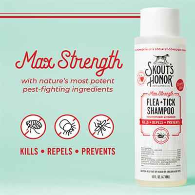 Flea and Tick Shampoo for Pets - Effective Pest Protection for Your Furry Friends