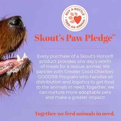 Flea and Tick Shampoo for Pets - Effective Pest Protection for Your Furry Friends
