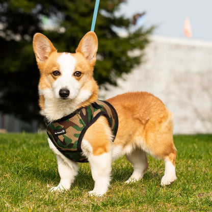 Mr. Peanut's PupTrek Small Dog/Cat Soft Mesh Step In Harness Vest