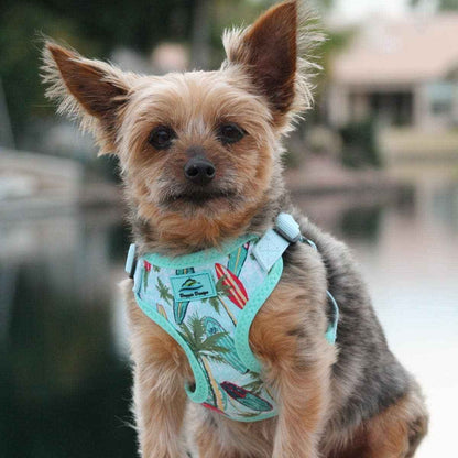 Wrap & Snap Choke Free Pet Harness - Surfboards and Palms