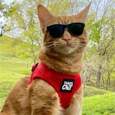 Reflective Cat Harness and Leash