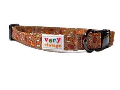 Pumpkin Spice | Recycled Bottle Eco-Friendly Dog Collar & Leash