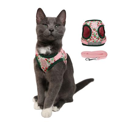 Strawberry Shortcake Cat Harness and Leash