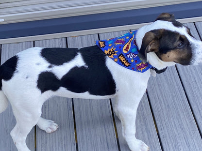 Reversible Pet Bandana - Superhero / Swirls