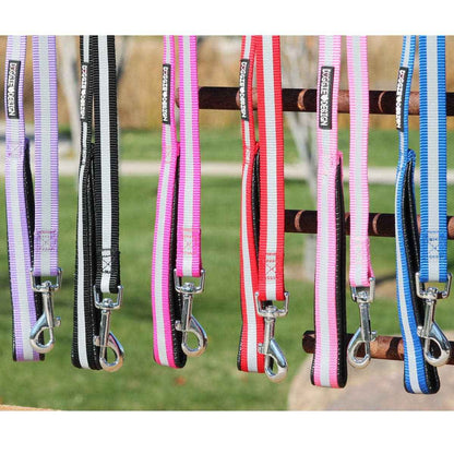 Reflective Nylon Dog Leash with Soft Grip Handle