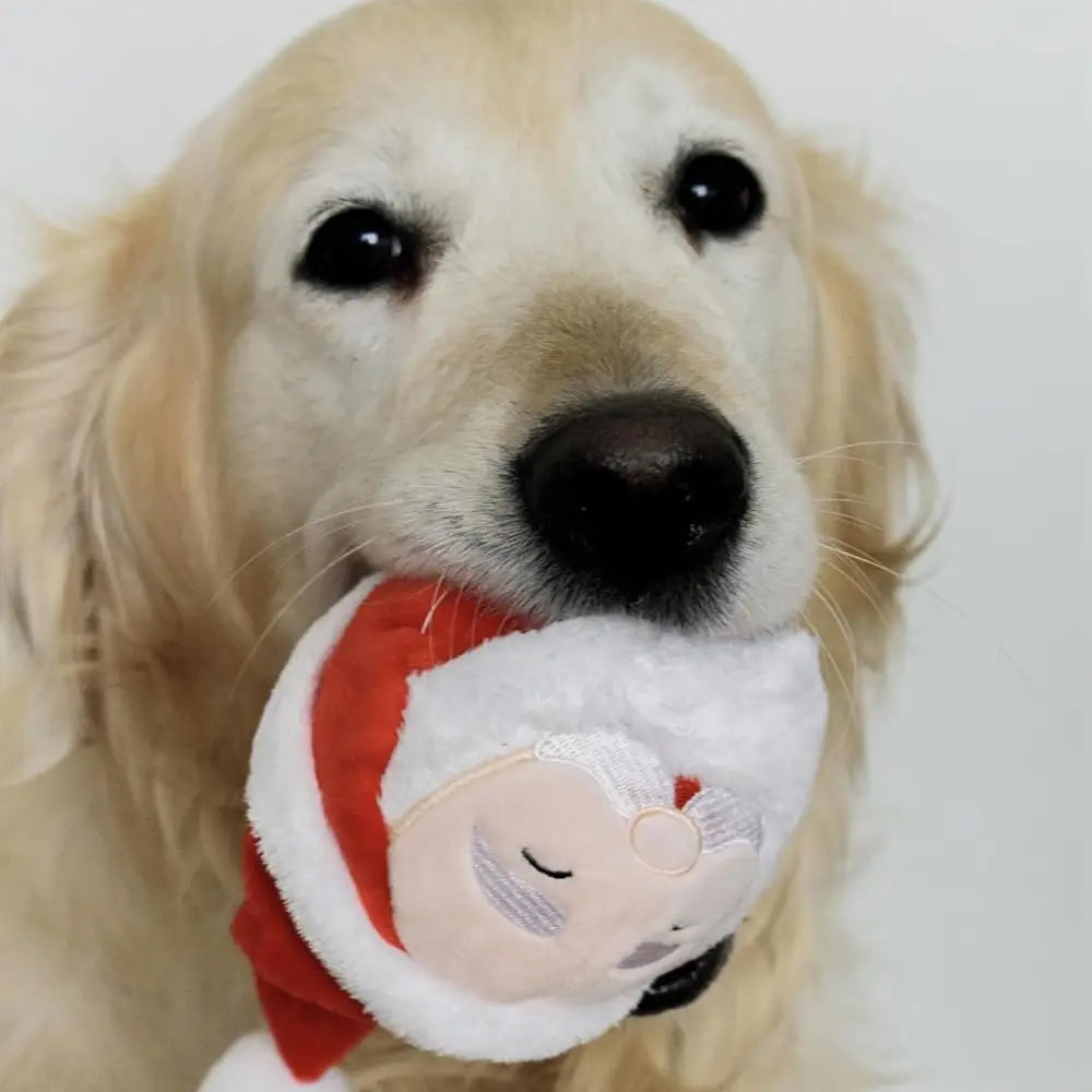 2 in 1 Rip N Reveal Santa Dog Ball