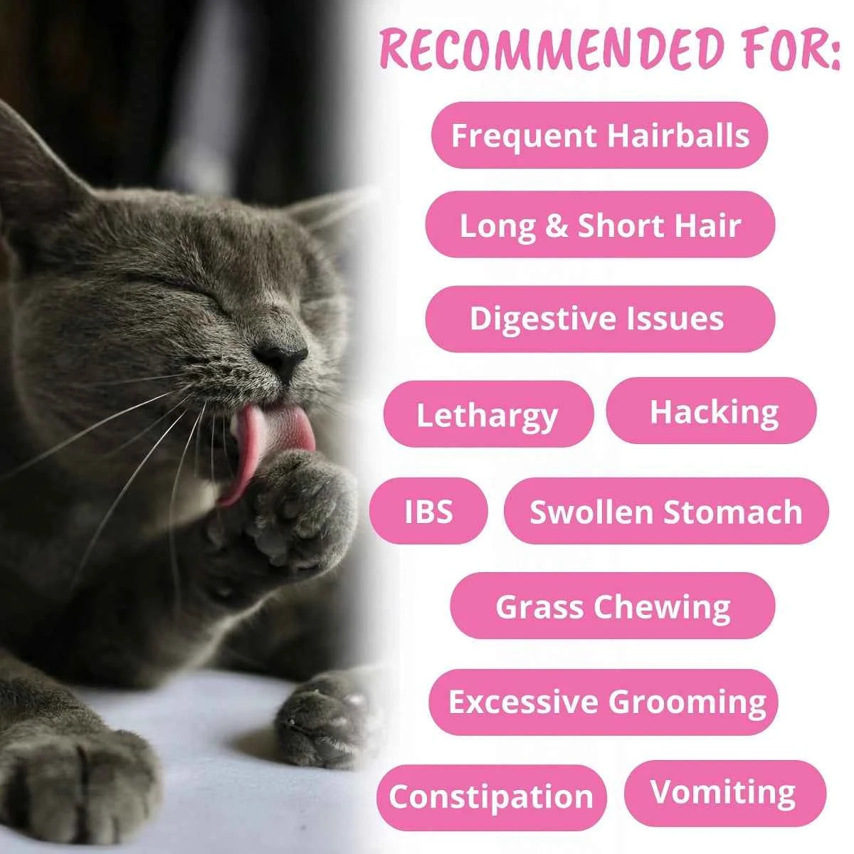 Hariball Cat Support for Enhanced Feline Health