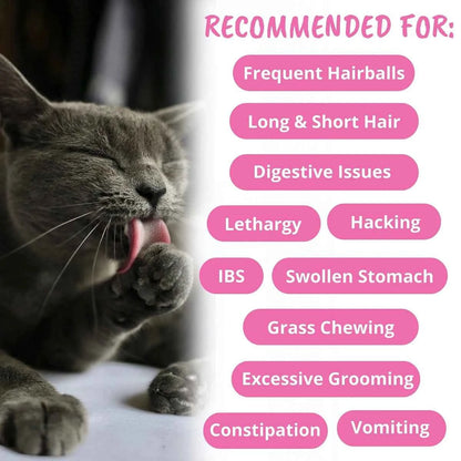 Hariball Cat Support for Enhanced Feline Health