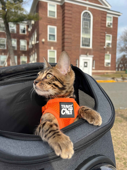 Travel Cat Carrier Backpack - Ultimate Travel Backpack for Your Feline Friend
