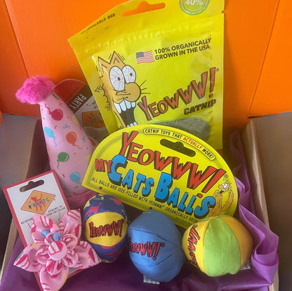 "Pawty" box for Cats! Contains: 1 party hat 1 party collar or bow tie or collar slide 1 small stuffy or toy 1 cat treat or catnip (cats only)