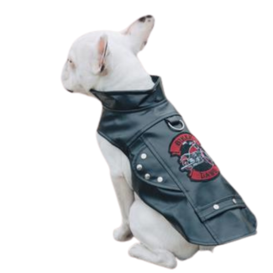 Biker Dawg Motorcycle Dog Jacket - Black