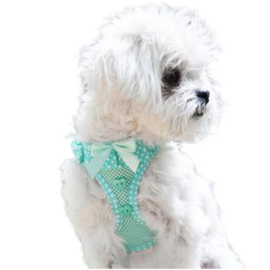 American River Choke Free Dog Harness Polka Dot Collection - Teal Polka Dot