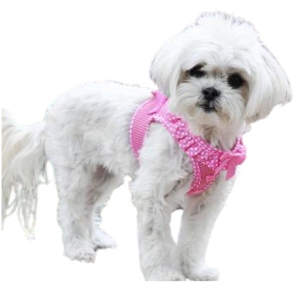 American River Choke Free Dog Harness Polka Dot Collection - Pink Polka Dot