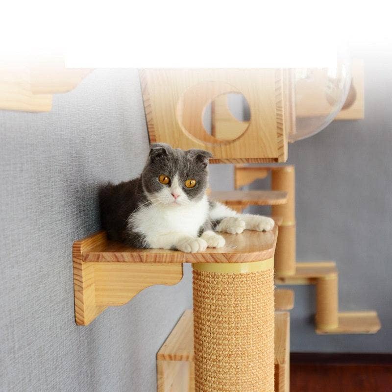 Luxury Woodland Cat Retreat: Solid Wood Drilling Hole Scratching Post and Toy
