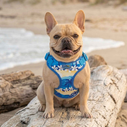 Wrap & Snap Choke Free Pet Harness - Catching Waves