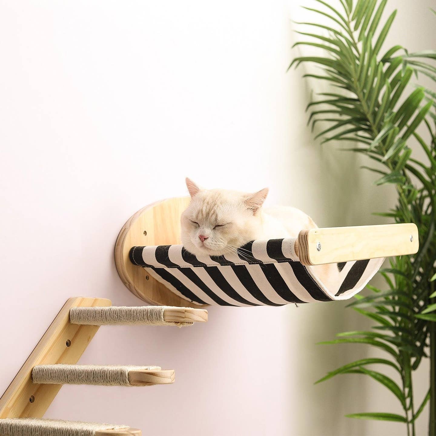 Purrfect Pine Wood Cat Adventure Set