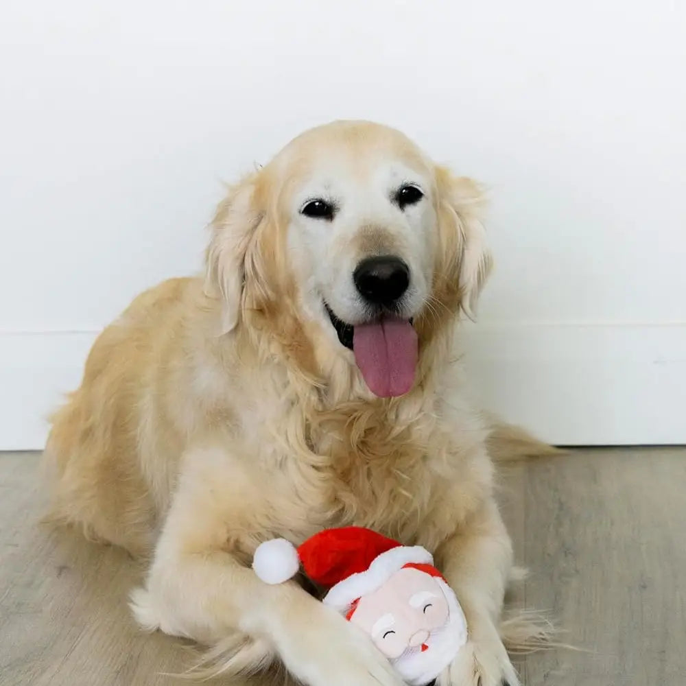 2 in 1 Rip N Reveal Santa Dog Ball