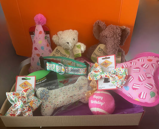 Large "pawty" box contains large  1 party hat 1party collar or bow tie or collar slide 1 large stuffy or toy 1 bone cookie or peanut butter pup-cake (pups only) 1 Happy Birthday ball (pups only & if birthday) 1 cat treat or catnip (cats only) 1 Surprise!