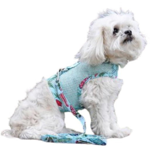 Cool Mesh Dog Harness with Leash - Surfboards & Palms